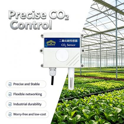 CO₂ Sensor, Gas Detection, Environmental Monitoring
