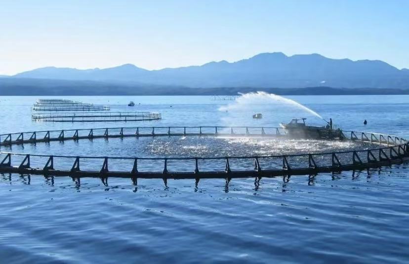 Von Flüssen bis zu Wasserwerken: Die Schlüsselrolle von Wasserqualitätssensoren im intelligenten Wassermanagement